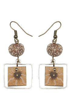 Bijou en graines naturelles : Boucles d'oreilles modèle CALEBASSE CADREE Marbré 3 0